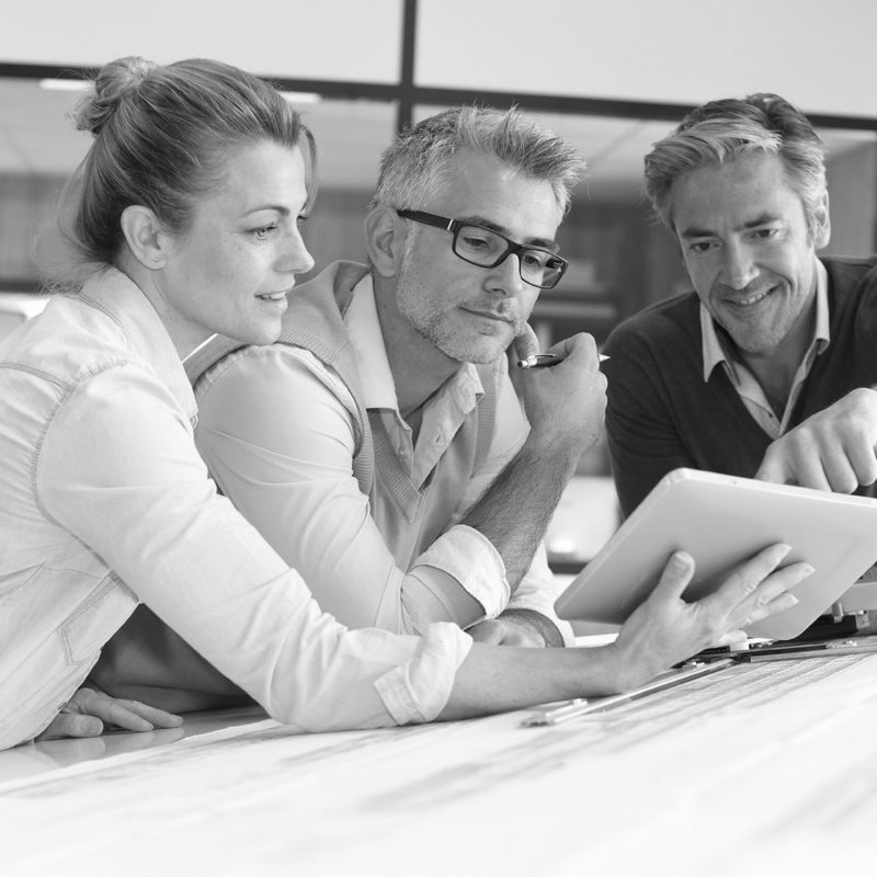 ProjektSW-800x800 (3)